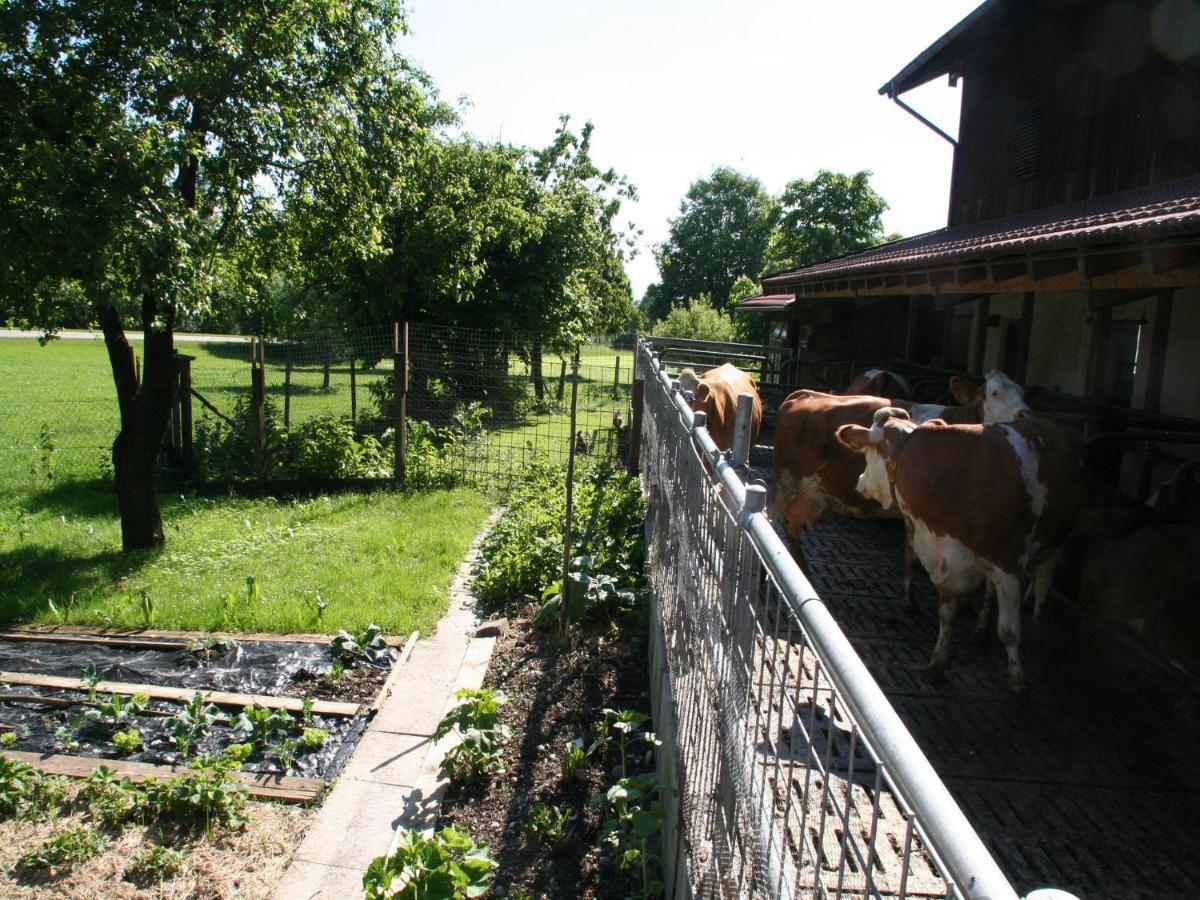 Farm stay Kirmeier Hof Bad Endorf