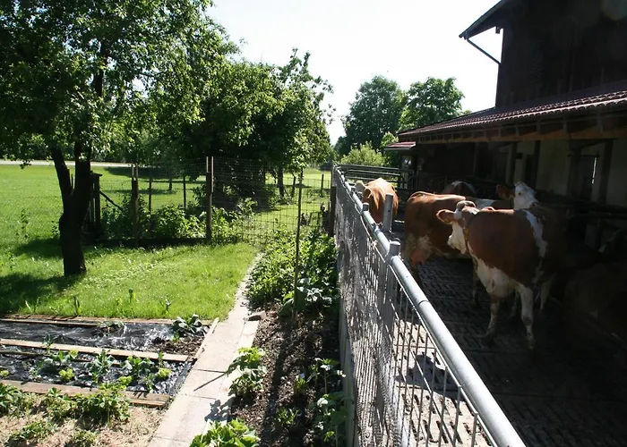 Kirmeier Hof